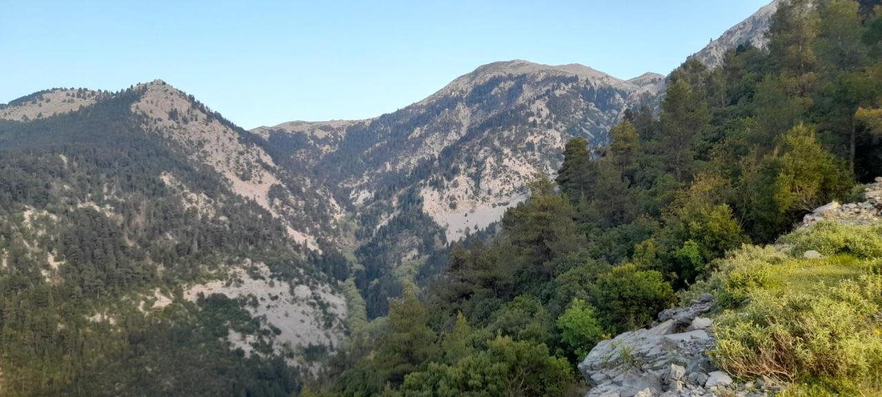 Apartmán Το Σπίτι Της Ελένης Vlachia Exteriér fotografie