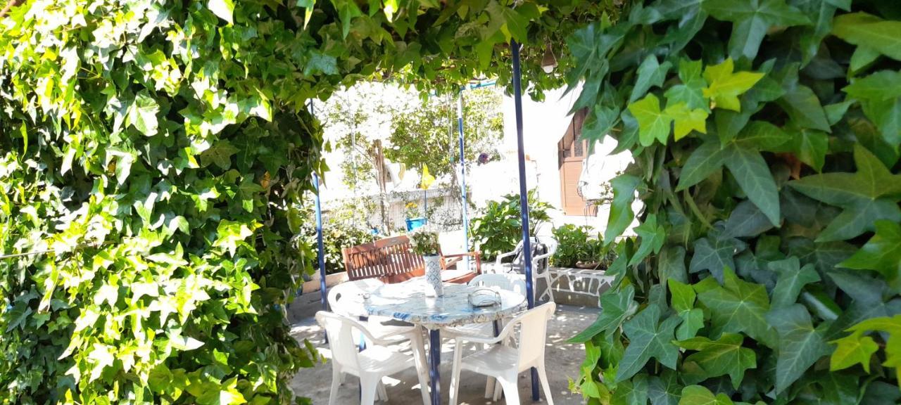 Apartmán Το Σπίτι Της Ελένης Vlachia Exteriér fotografie