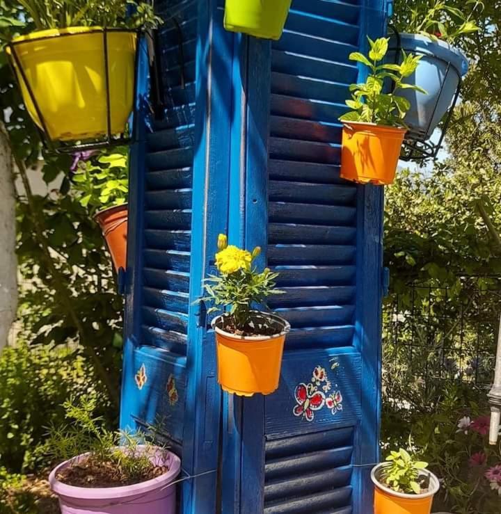 Apartmán Το Σπίτι Της Ελένης Vlachia Exteriér fotografie