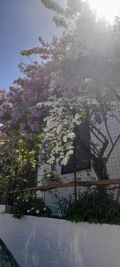 Apartmán Το Σπίτι Της Ελένης Vlachia Exteriér fotografie