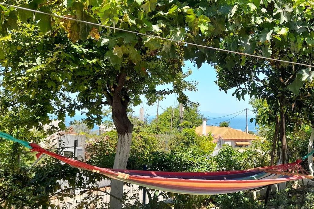 Apartmán Το Σπίτι Της Ελένης Vlachia Exteriér fotografie