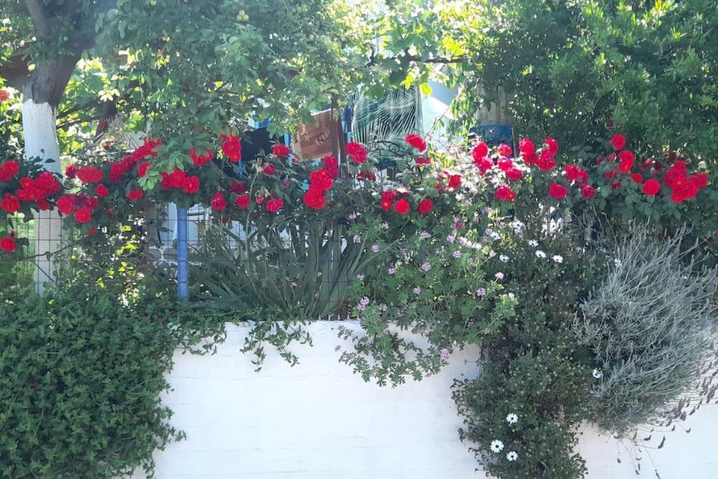 Apartmán Το Σπίτι Της Ελένης Vlachia Exteriér fotografie