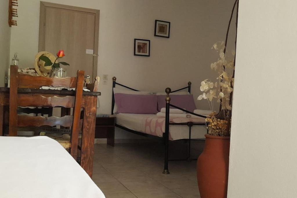 Apartmán Το Σπίτι Της Ελένης Vlachia Exteriér fotografie
