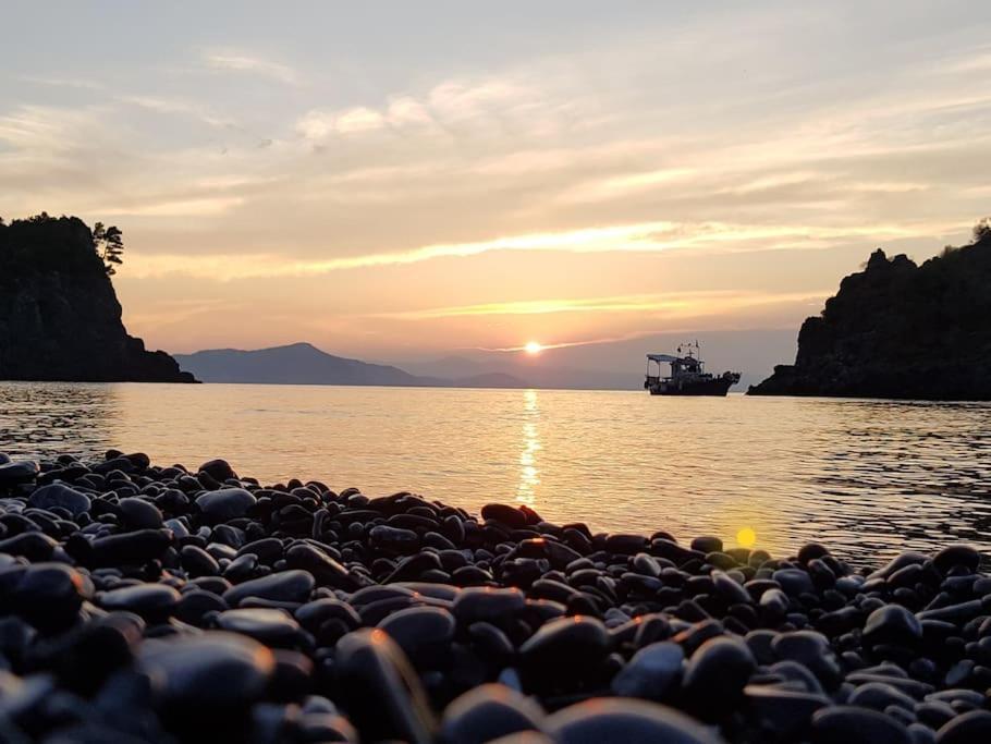 Apartmán Το Σπίτι Της Ελένης Vlachia Exteriér fotografie