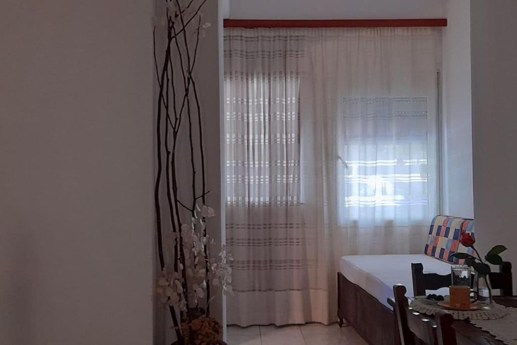 Apartmán Το Σπίτι Της Ελένης Vlachia Exteriér fotografie