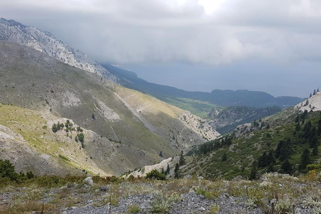 Apartmán Το Σπίτι Της Ελένης Vlachia Exteriér fotografie