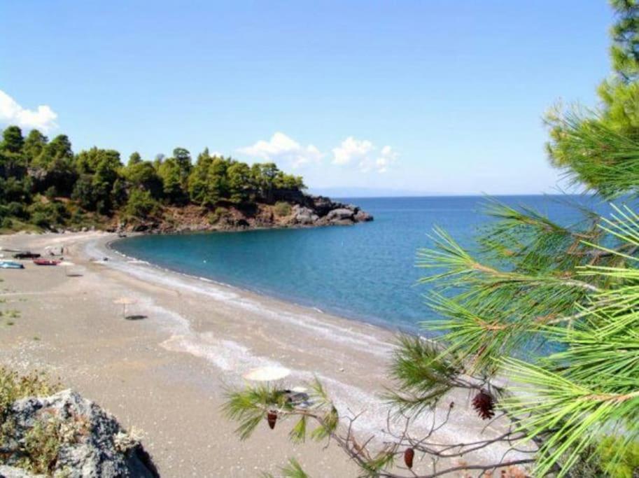 Apartmán Το Σπίτι Της Ελένης Vlachia Exteriér fotografie