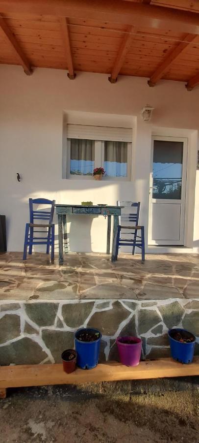 Apartmán Το Σπίτι Της Ελένης Vlachia Exteriér fotografie