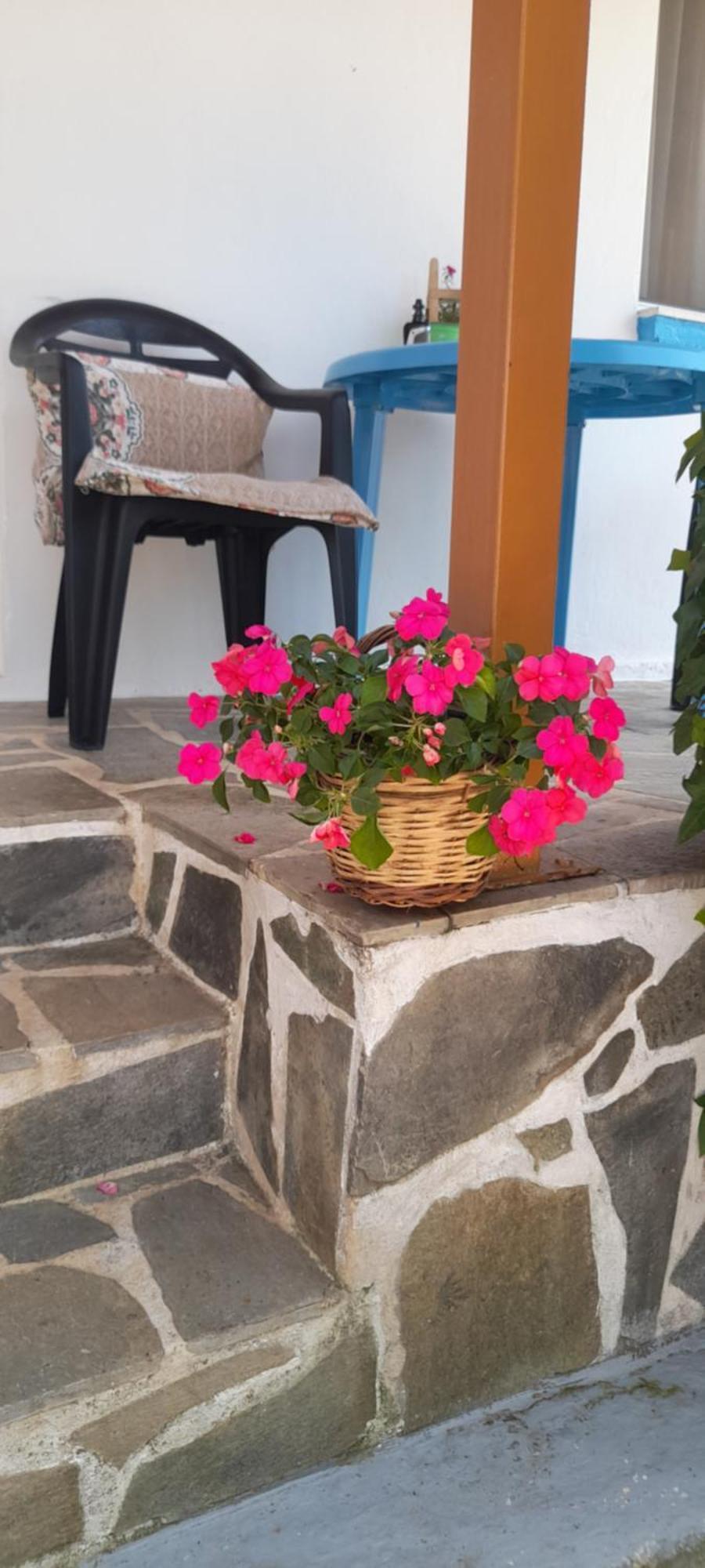 Apartmán Το Σπίτι Της Ελένης Vlachia Exteriér fotografie