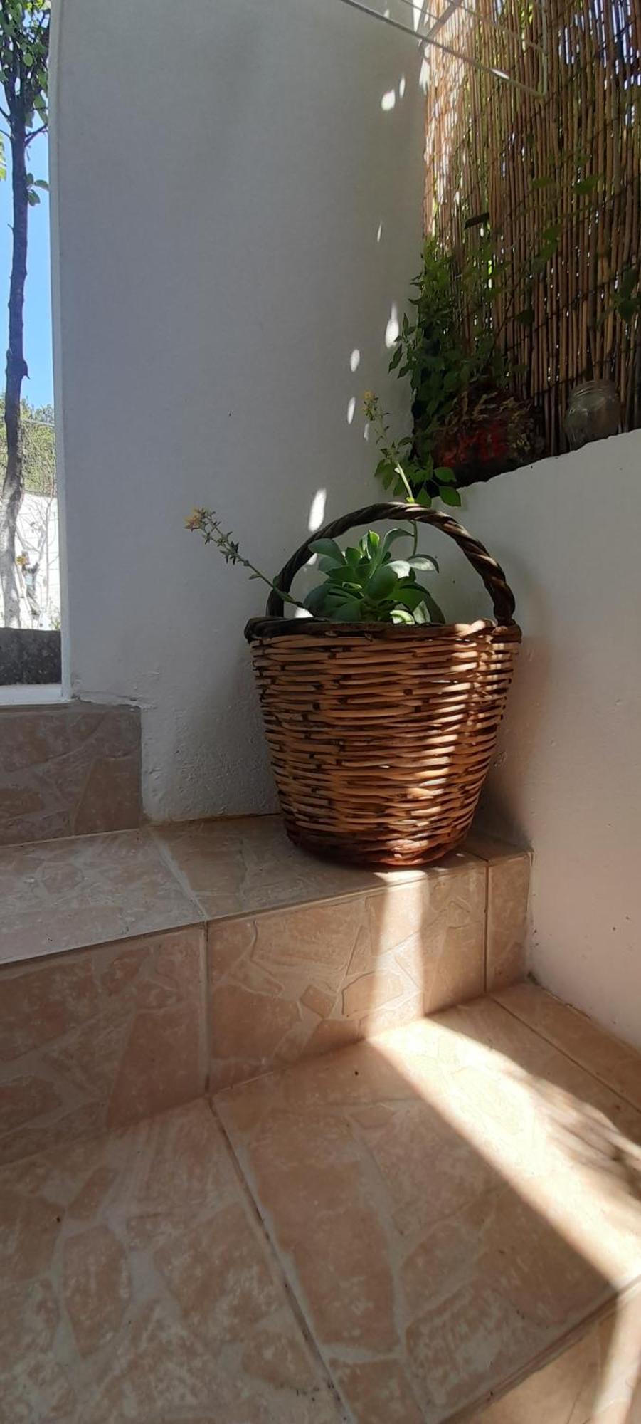 Apartmán Το Σπίτι Της Ελένης Vlachia Exteriér fotografie