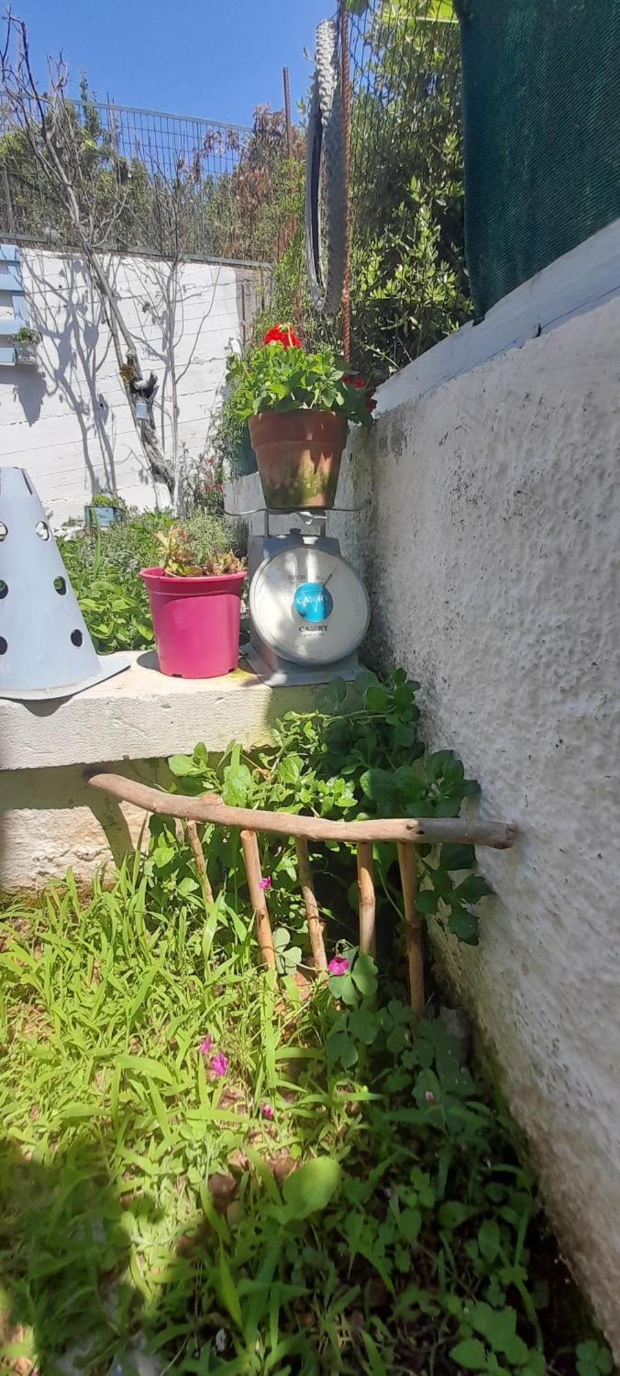 Apartmán Το Σπίτι Της Ελένης Vlachia Exteriér fotografie