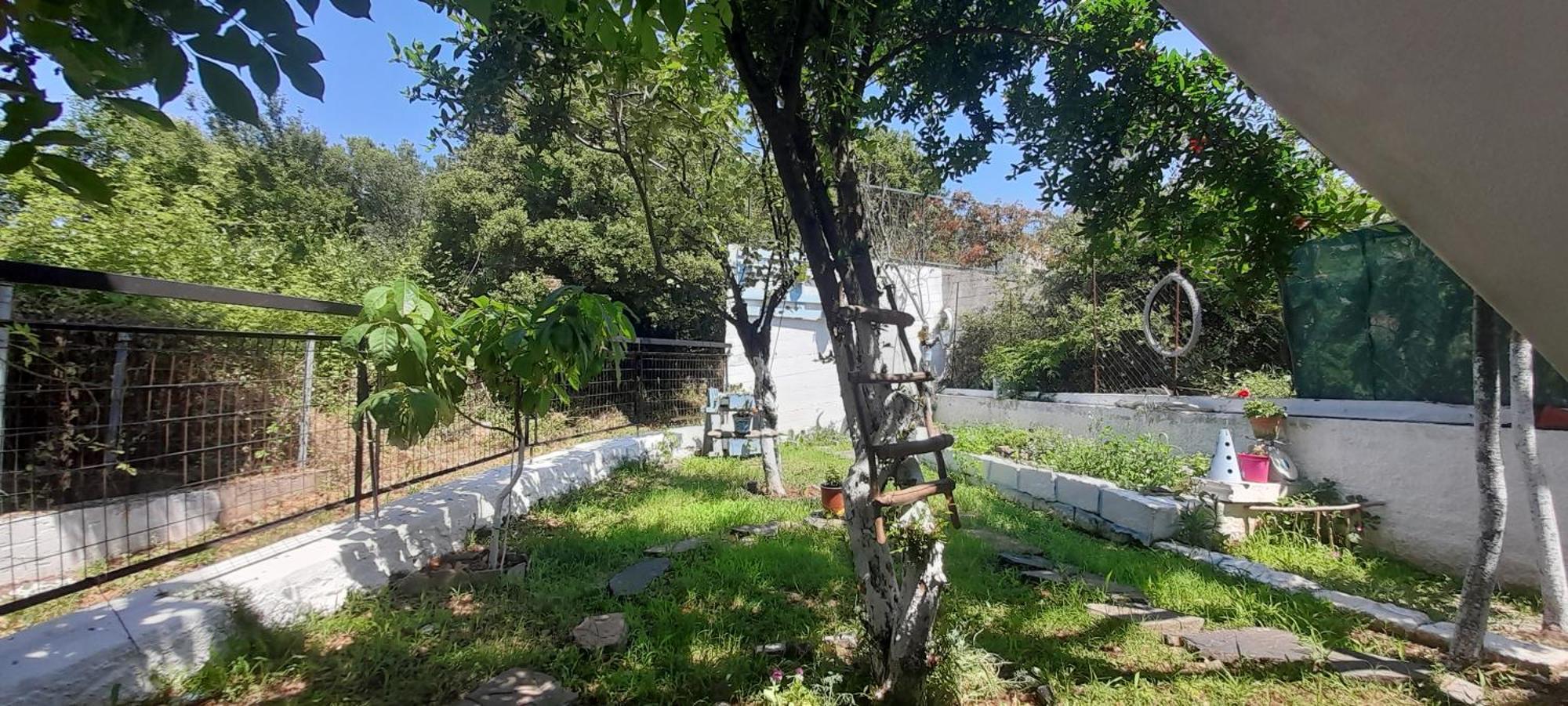 Apartmán Το Σπίτι Της Ελένης Vlachia Exteriér fotografie